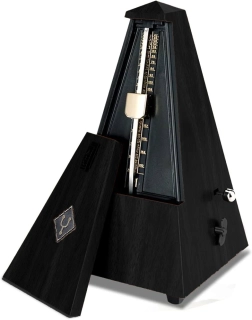 FZone FM-311W Metronom